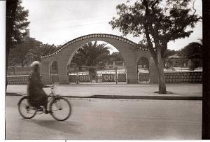 LE TELAGH jardin public 04 